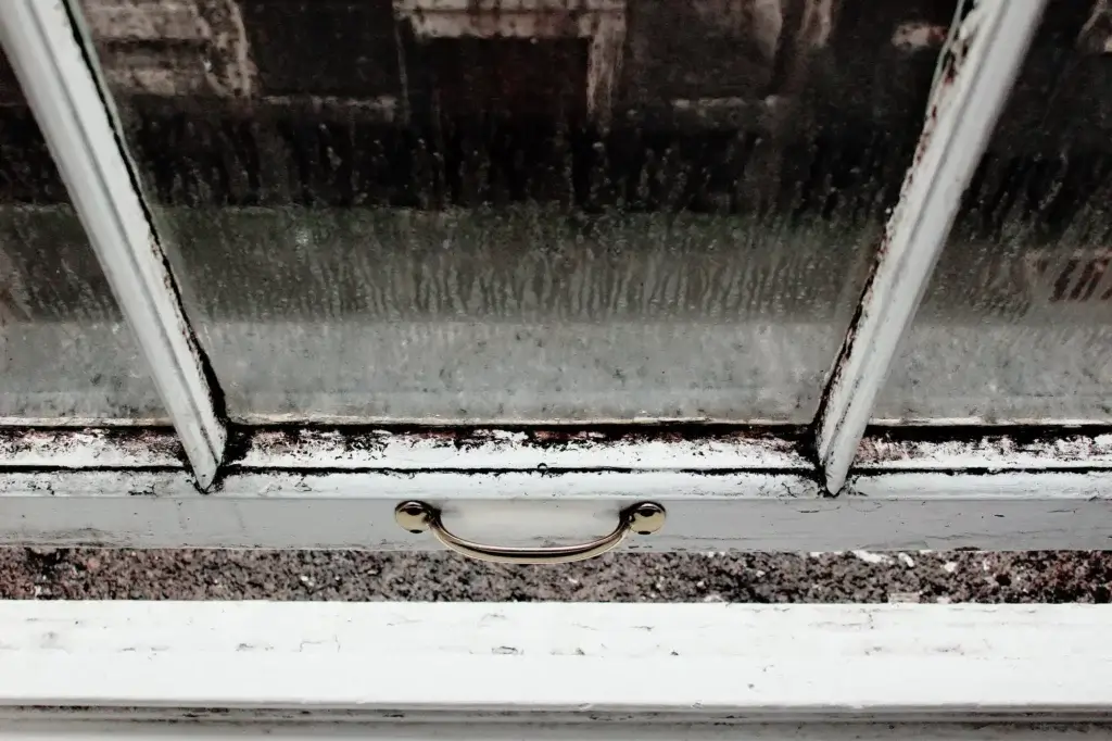 wooden window with blak mould
